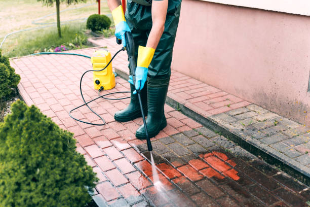Best Roof Pressure Washing  in Plains, TX