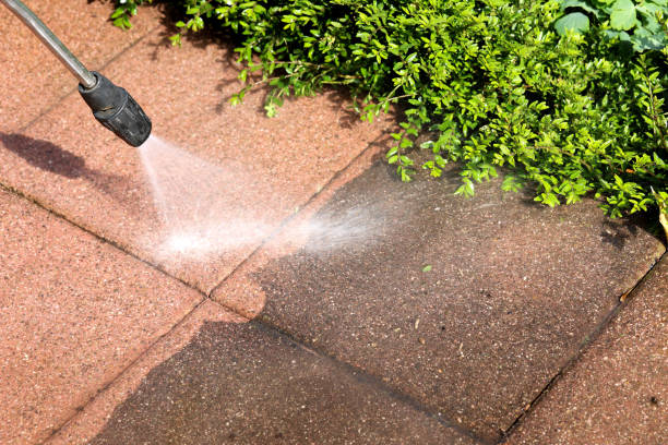 Best Local Pressure Washing Services  in Plains, TX